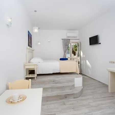 Akti Paros 아파트 *